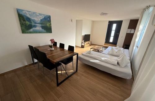 Niedergosgen Apartment | Family Suite