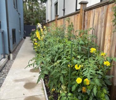 West Point Grey House | Fancy Family Suite with Parking near UBC