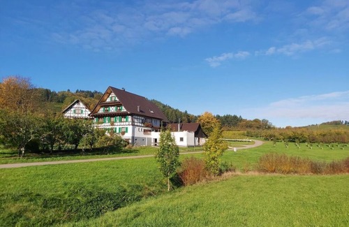 Oberkirch Apartment | Fantastic apartment in Oberkirch
