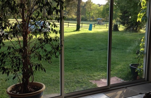 Saint-Mars-d'Outille Cottage | FARM IN THE MIDDLE OF HORSES