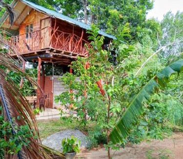 Dambulla House | Farming Tree House