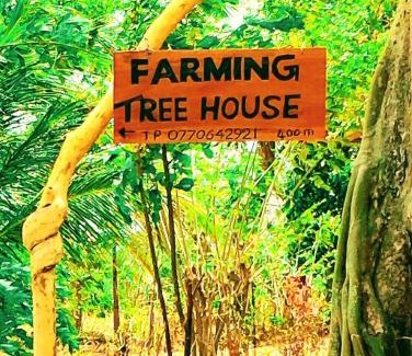 Dambulla House | Farming Tree House
