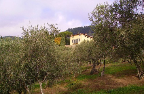 Petrognano Other | Fattoria di Petrognano, your B&B room 6