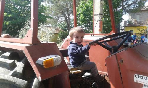 Badiola House | Fattoria Il Bruco