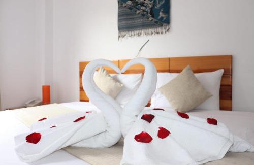 Aguas Calientes Hotel | Fenix Hotel Machupicchu