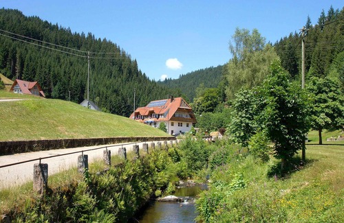 Bad Rippoldsau-Schapbach Apartment | Ferienwohnung Typ C, 75 qm, 2 Schlafzimmer, max. 6 Personen