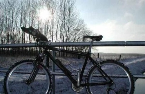 Deutschneudorf House | Ferienhaus für 30 Gäste mit 580m² in Seiffen im Erzgebirge