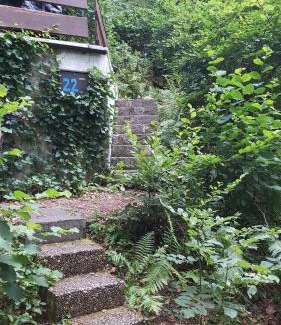 Harbshausen House | Ferienhaus am Edersee