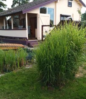 Lubbenau/Spreewald House | Ferienhaus am Kamskefliess