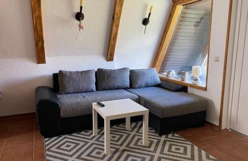 Oberharz am Brocken House | Ferienhaus am Rachental