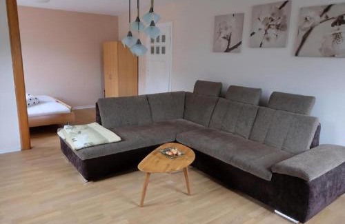 Bad Elster House | Ferienhaus Am Wald Mit Sauna