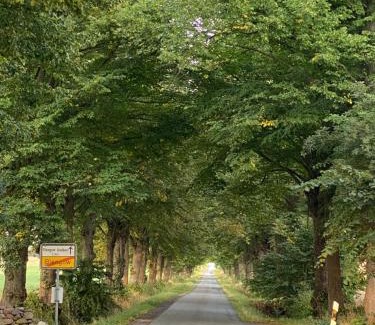 Blengow House | Ferienhaus an der Ostsee mit großem Garten