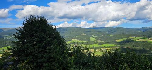 Reichenfels Apartment | Ferienhaus Anna