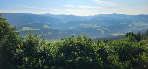 Reichenfels Apartment | Ferienhaus Anna