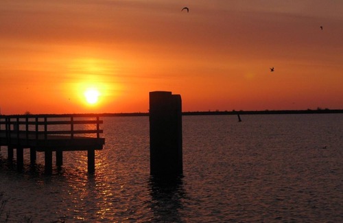 Onderdijk Other | Ferienhaus für 4 Gäste mit 54m² in Wervershoof