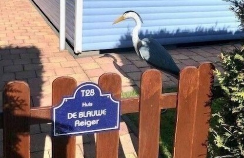 Onderdijk Other | Ferienhaus für 4 Gäste mit 54m² in Wervershoof