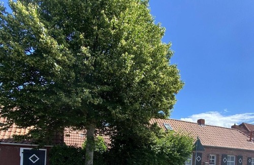 Rysum House | Ferienhaus für 4 Gäste mit 60m² in Krummhörn-rysum