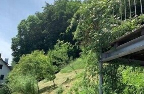 Kiefersfelden House | Ferienhaus Kaiserblick 125 qm für Max. 6 Personen und 3 Hunde