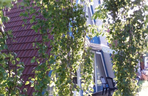 Machtlos House | Ferienhaus Kornblume