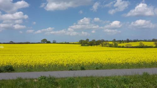 Beschendorf House | Ferienhaus Leja