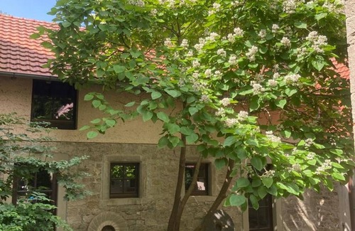 Aub Apartment | Ferienhaus mit 6 Schlafzimmer