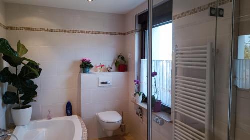 Kurort Gohrisch Apartment | Ferienhaus "Morgensonne"