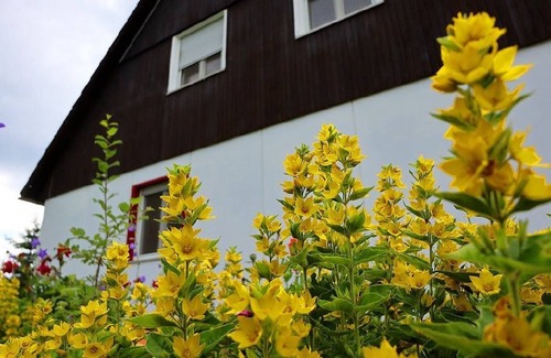Bonndorf Apartment | Ferienwohnung Leber, 60 qm, Max. 4 Personen