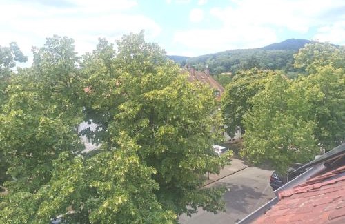 Neustadt an der Weinstrasse Apartment | Ferienwohnung Forest & Wein