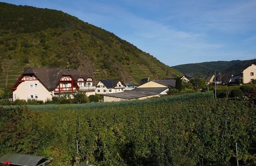 Briedern Apartment | Ferienweingut Hugo Friederich & Sohn - double room