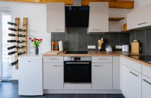 Purbach am Neusiedlersee Apartment | Ferienwohnung über dem Weingut Schüller