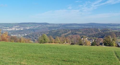 Erla Apartment | Ferienwohnung Bergidyll