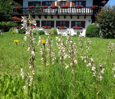 Oberschonau Apartment | Ferienwohnung Deinbeck