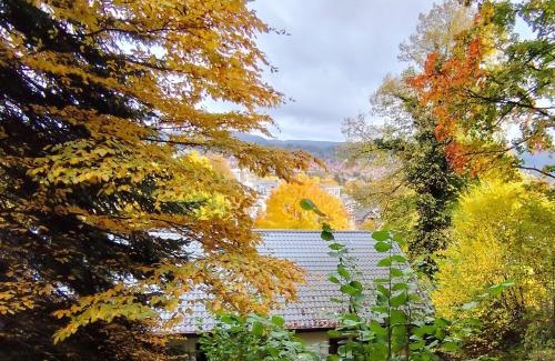 Bad Sooden-Allendorf Apartment | Ferienwohnung Haus am Wald