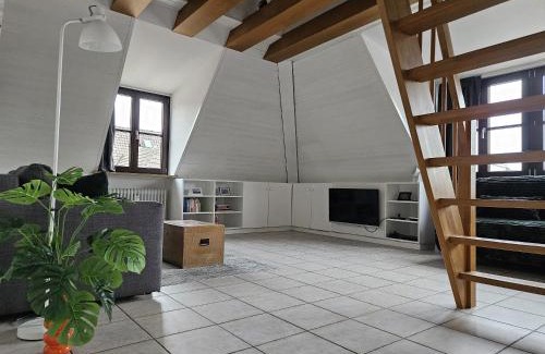 Wurzburg City Centre House | Ferienwohnung 2 ANNA IFF
