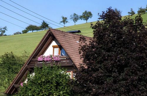 Oberharmersbach Apartment | Ferienwohnung 32 qm, 1 Wohn-/Schlafraum, max. 2 Personen