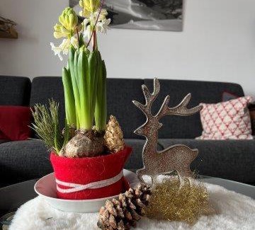 Oberdorf Apartment | Ferienwohnung Alpenherz