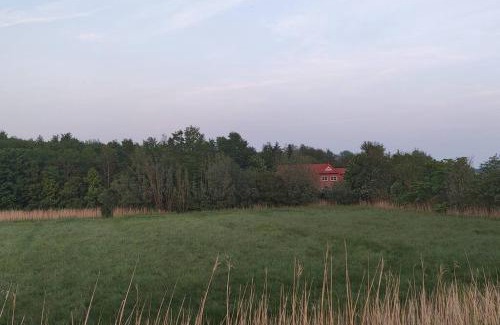 Tetenbull Apartment | Ferienwohnung Altneukoog