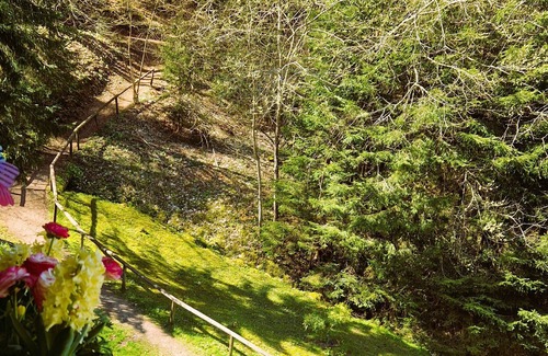 Triberg im Schwarzwald Apartment | Ferienwohnung am Waldrand, 40 qm, 2-zimmer-apartment , Max. 2 Personen