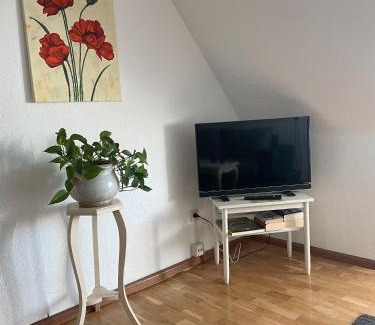 Gengenbach Apartment | Ferienwohnung Anna Vollmer
