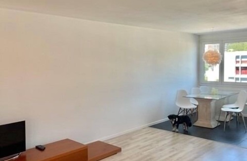 Lucerne Apartment | Ferienwohnung/app. für 4 Gäste mit 116m² in Luzern