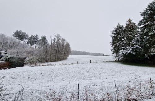 Moehnesee Apartment | Ferienwohnung Arnsberger Wald