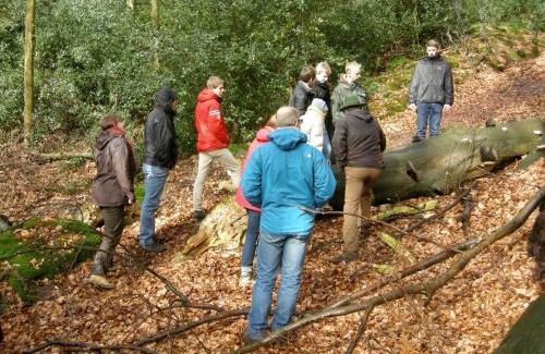Tecklenburg Apartment | Ferienwohnung auf dem Golfplatz Tecklenburger Land