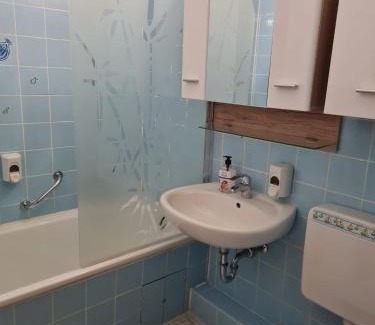 Oberdorla Apartment | Ferienwohnung Berghexe 438 mit Pool & Sauna in Hohegeiß-Braunlage