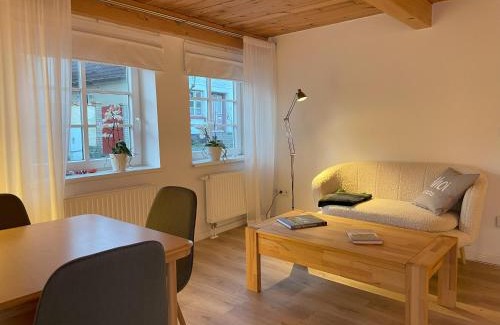 Maasholm Apartment | Ferienwohnung Dat seute Huus EG klein