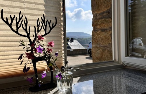 Annaberg-Buchholz Apartment | Ferienwohnung Erzgebirgsnest - apartment/apartment, shower, WC