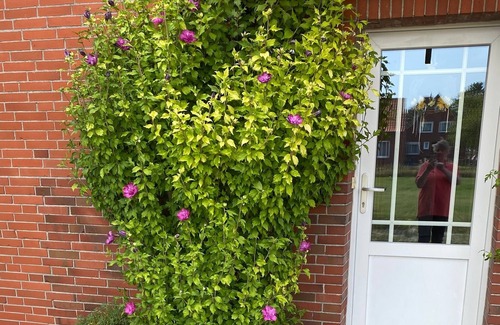 Altharlingersiel Apartment | Ferienwohnung/app. für 4 Gäste mit 60m² in Neuharlingersiel