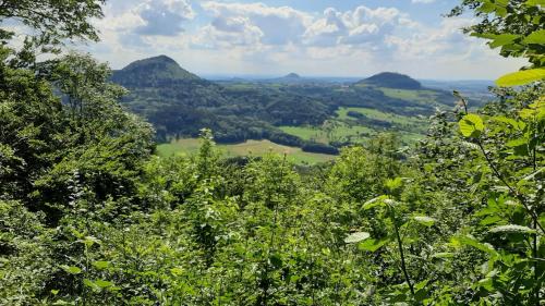 Schwaebisch Gmuend Apartment | Ferienwohnung Bauchert