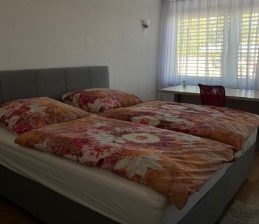 Lossburg Apartment | Ferienwohnung Deti