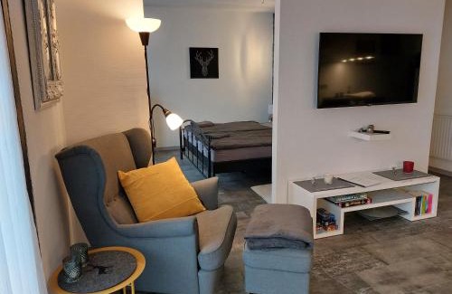 Bad Harzburg Apartment | Ferienwohnung Domicile chic mit Schwimmbad und Saunanutzung