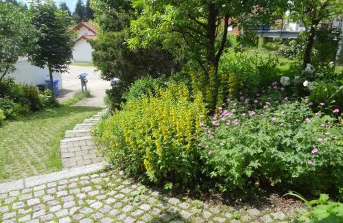 Buchenberg Apartment | Ferienwohnung Eisele